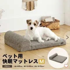 Item thumbnail for item 6935ee5c-179a-47ba-846b-26954c21fb3d