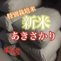 にじのきらめき 種子 90%以上発芽 4㎏ - メルカリ