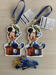 【非売品】ディズニーバケーションパッケージ　パスケース