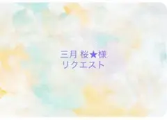 三月 桜★プロフィール必読‼️様　リクエスト