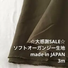 S2L/4051-02◆3m 感謝祭/ポリソフトオーガンジー生地/アパレル