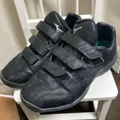 Mizuno トレーニングシューズ 25.0cm ブラック