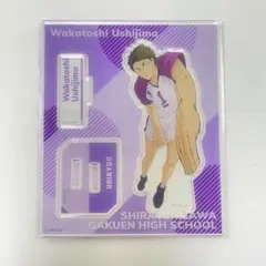 ハイキュー!! 牛島若利 アクリルスタンドコレクションPlus