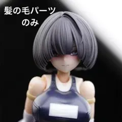 フレームアームズ・ガール　改造パーツ　髪の毛　ムリーヤ　MUSCUTOのサムネイル