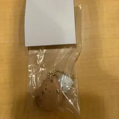 Item thumbnail for item 55984b8d-d65b-4714-a337-c2bbe90f3569