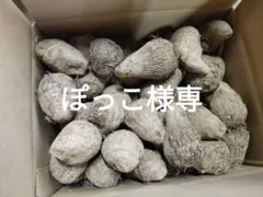 2026年最新】里芋女早生の人気アイテム - メルカリ