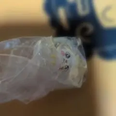 Item thumbnail for item 0ba100dc-33f1-4fe4-b2ca-09f93e708dcf