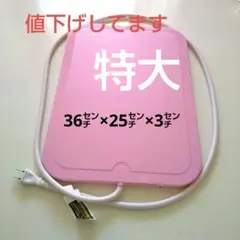 Item thumbnail for item 51fea38a-196c-4e8e-a51e-eb287f087bf7