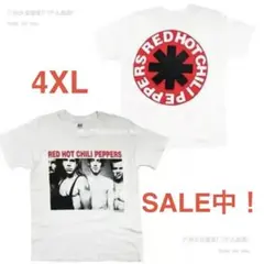 【新サイズ入荷】レッチリ　キムタク　男女兼用　Tシャツ　アメカジ　4XLのサムネイル