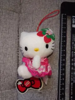 ご当地キティ　杏林堂キティ　管理栄養士 ご当地キティ 杏林堂キティ 管理栄養士 - メルカリ