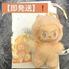【即発送】ラブブ　エナジー　オレンジ