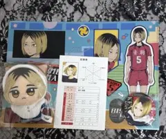 ハイキュー!! 孤爪研磨 ぬいぐるみ クリアファイル 缶バッジ