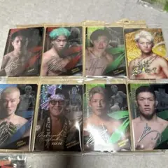 rizinウエハース スポーツカード