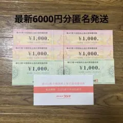 ビックカメラ　コジマ株主優待券　6000円分