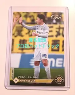 Item thumbnail for item 72ed1c66-3e4e-46d2-9831-bdec0560e76a