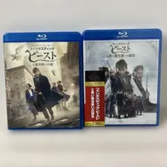 ファンタスティック・ビーストと魔法使いの旅　黒い魔法使いの誕生　Blu-ray