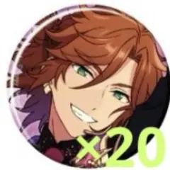 あんさんぶるスターズ あんスタ 三毛縞斑 缶バッジ April 20点セット