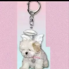 karen様 リクエスト 2点 まとめ商品