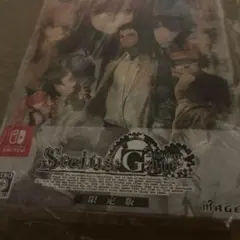 Steins;Gate アナログレコード 2枚組 日本未発売 - メルカリ