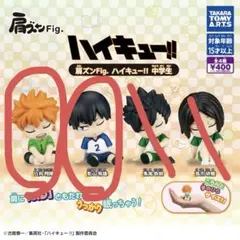 肩ズン ハイキュー!!