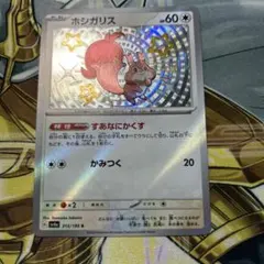 カク様 リクエスト 3点 まとめ商品