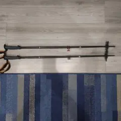 Item thumbnail for item 9579a479-252b-43da-8377-aa8bde43c646