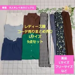 レディース服コーデ売りまとめ売り　Lサイズ9点　春服大人キレイめカジュアル