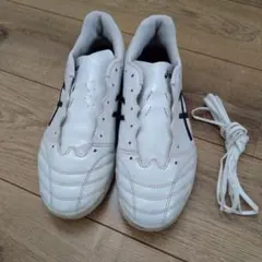 アシックス トレーニングシューズ 3E 25.5cm