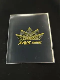 Snow Man RAYS チケット風カード 岩本照