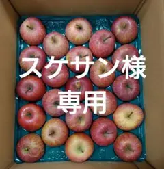 1/3以降着【スケサン様専用】