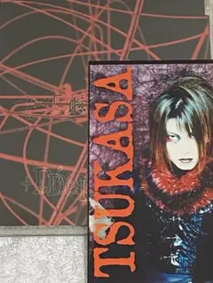 D'espairsRay / 眩惑 ディスクのみ ヴィジュアル系 - メルカリ