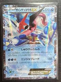 サトシゲッコウガEX P 次世代WHF'16 Winter 来場者特典 キラ … - メルカリ