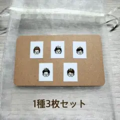 1種3枚セット 嵐ネイルパーツ