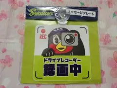 つば九郎 ドライブレコーダー録画中