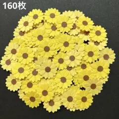 マジカル・パンチライン 清水ひまわり チェキ セット - メルカリ