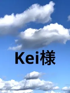 シラーバッチリ❣️ ピーターサイト シャラシャラ14kgfピアス - メルカリ