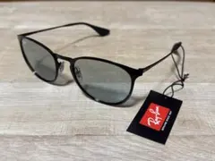 Ray-Ban Erika Metal Evolve RB3539 サングラス
