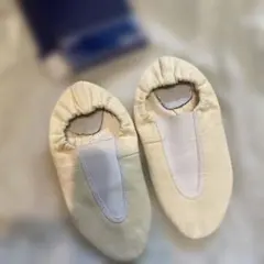 Item thumbnail for item 3a181df1-fc05-48c9-b07d-e1aae182c5d7