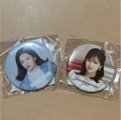 TWICE ジョンヨン　DREAMDAY 缶バッチ