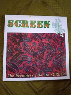 The beginners guide to SCREEN EPレコード