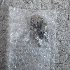 ジョジョの奇妙な冒険 一番くじ G賞 デスクトップマスコット チープ・トリック