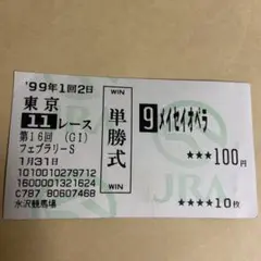 メイセイオペラ プロジェクトX チラシ 実物 NHK フェブラリーステークス メイセイオペラ プロジェクトX チラシ 実物 NHK フェブラリー