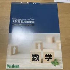 Item thumbnail for item 04adc2c2-2d6f-4628-b237-a56a088fb9f1