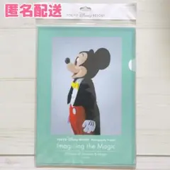 ディズニー イマジニングザマジック 実写 クリアホルダー 未使用 匿名配送
