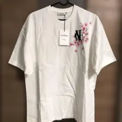 Item thumbnail for item de31fc11-ca4f-4a8a-9dbc-6d69bc4d4c62