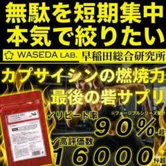 夏応援セール❗✨早稲田総合研究所 ダイエットサプリメント カロリミット 等にものサムネイル
