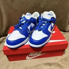 NIKE 98年 ダンクハイケンタッキー 28cm - メルカリ