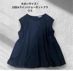 大きいサイズ！近年レリアンプラスハウス/チュールスリーブカットソー 