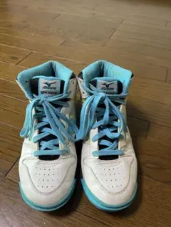 バッシュ　MIZUNO WAVE ROOKIEのサムネイル