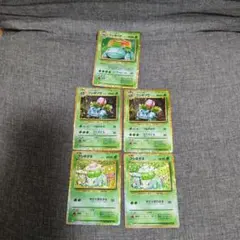 フシギバナ　進化ライン　Classic　５枚